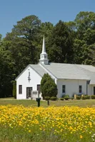 Country church surrounded by wildflowers