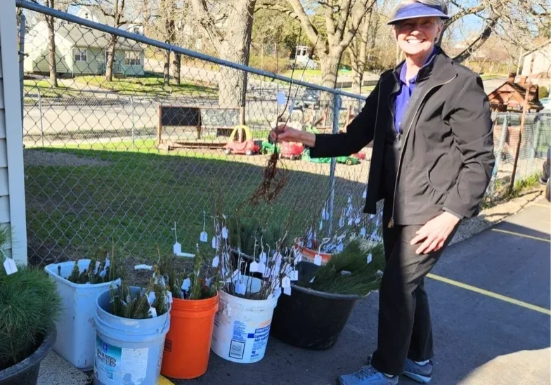 Person with plants in buckets outdoors