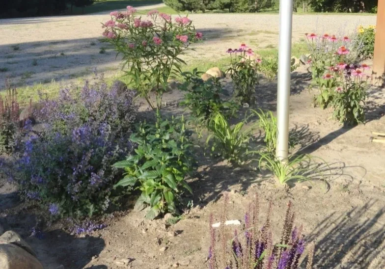 Flagpole surrounded by vibrant garden flowers